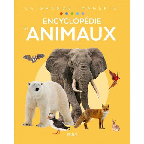 L'imagerie - Les animaux