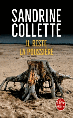 Il reste la poussière