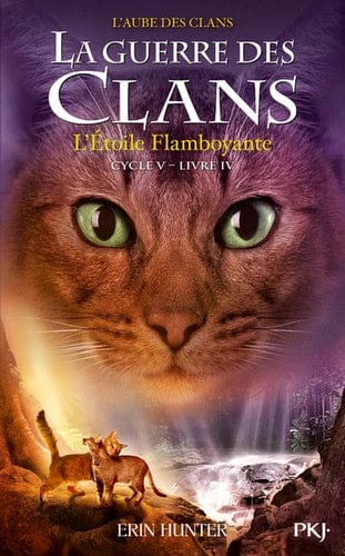 La Guerre des Clans cycle 5, T04 - L'étoile flamboyante