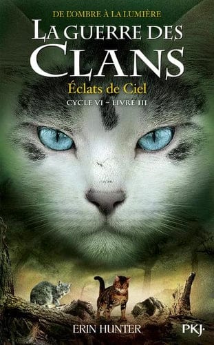 La Guerre des Clans cycle 6, T03 - Eclats de Ciel