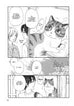 Plum T12 - Un amour de chat