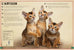 Le livre extraordinaire des chats
