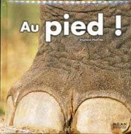 Au pied!