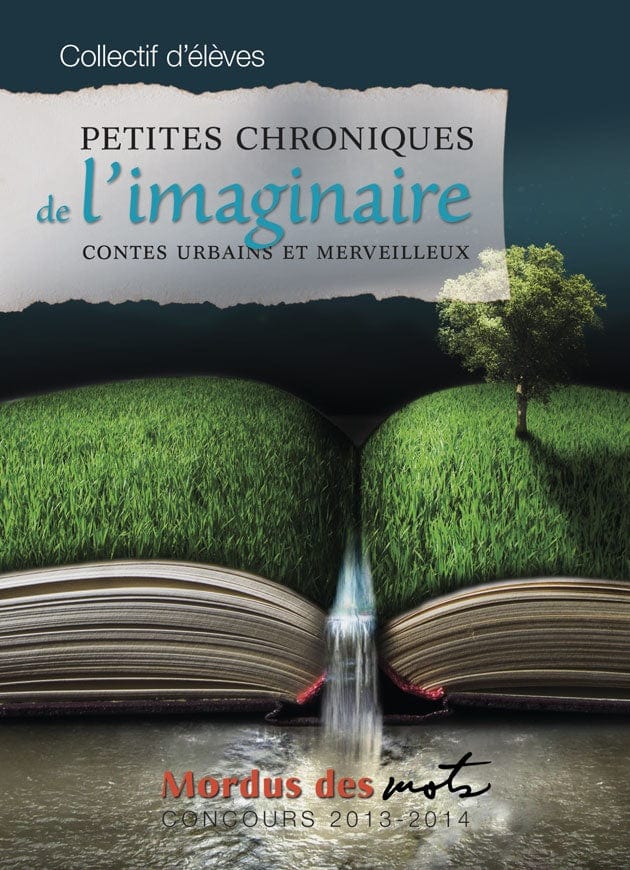 Petites chroniques de l'imaginaire