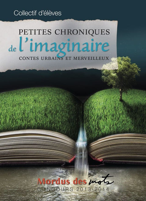 Petites chroniques de l'imaginaire