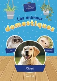 Les animaux domestiques : chat, chien, hamster