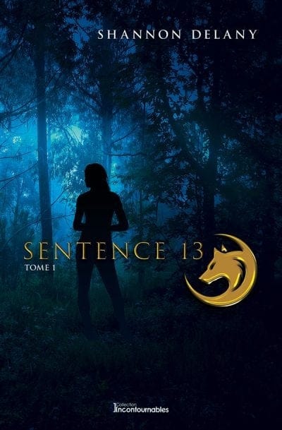 Sentence 13 T01
