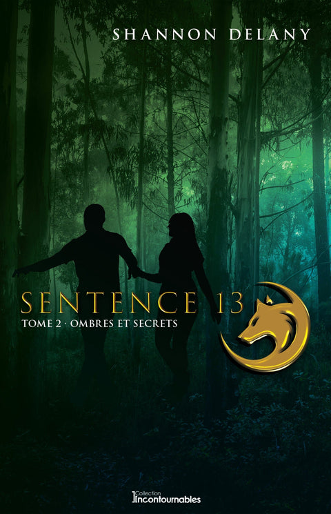 Sentence 13 T02 - Ombres et secrets