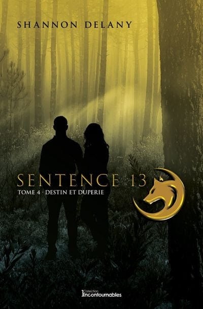 Sentence 13 T04 - Destin et duperie
