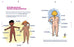 Le petit guide de la foufoune sexuelle