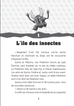 Pokémon - Insécateur, cœur de champion