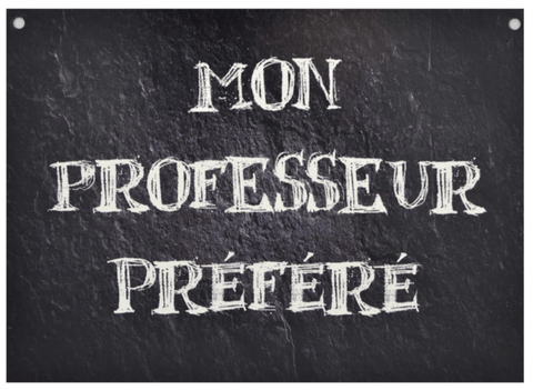 Affiche réversible bilingue - Professeur