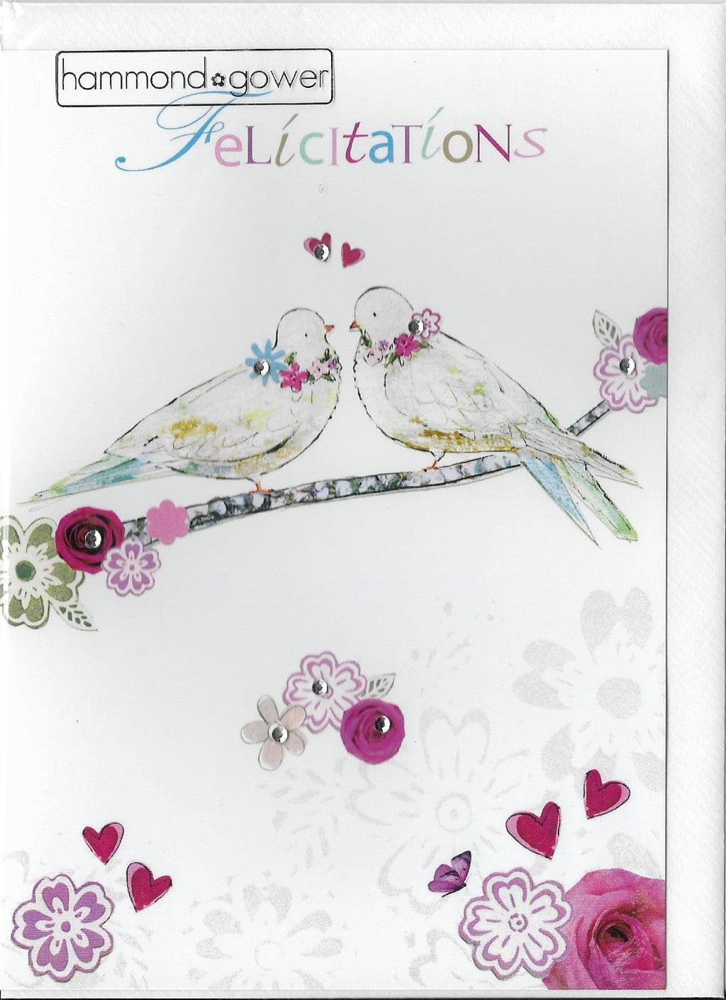 Carte de souhait - Félicitations - Oiseaux