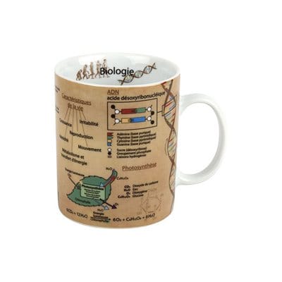 Tasse - Biologie