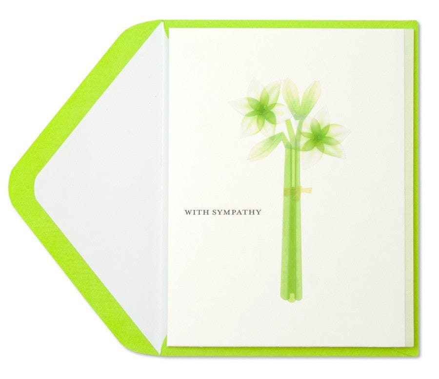 Carte de souhait - Sympathie - Papyrus 09086618
