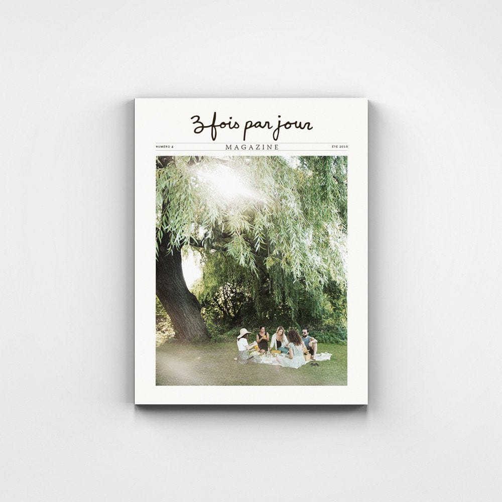 Magazine 3 fois par jour - Tome 04 - été 2016