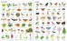 1000 choses à découvrir dans la nature