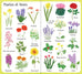 199 images du jardin