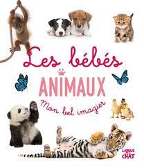 Mon bel imagier - Les bébés animaux