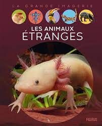 La grande imagerie - Les animaux étranges