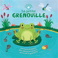Cycles naturels - La petite grenouille