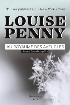 Au royaume des aveugles T13