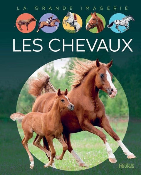 La grande imagerie - Les chevaux