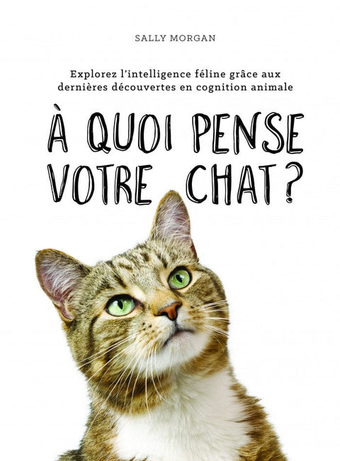 À quoi pense votre chat?