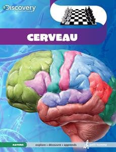 Discovery éducation - Cerveau