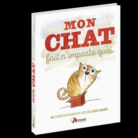 Mon chat fait n'importe quoi