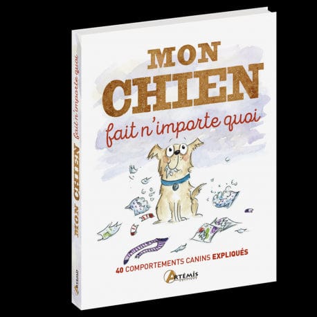 Mon chien fait n'importe quoi