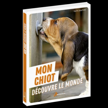 Mon chiot découvre le monde