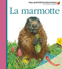 Mes premières découvertes - La marmotte